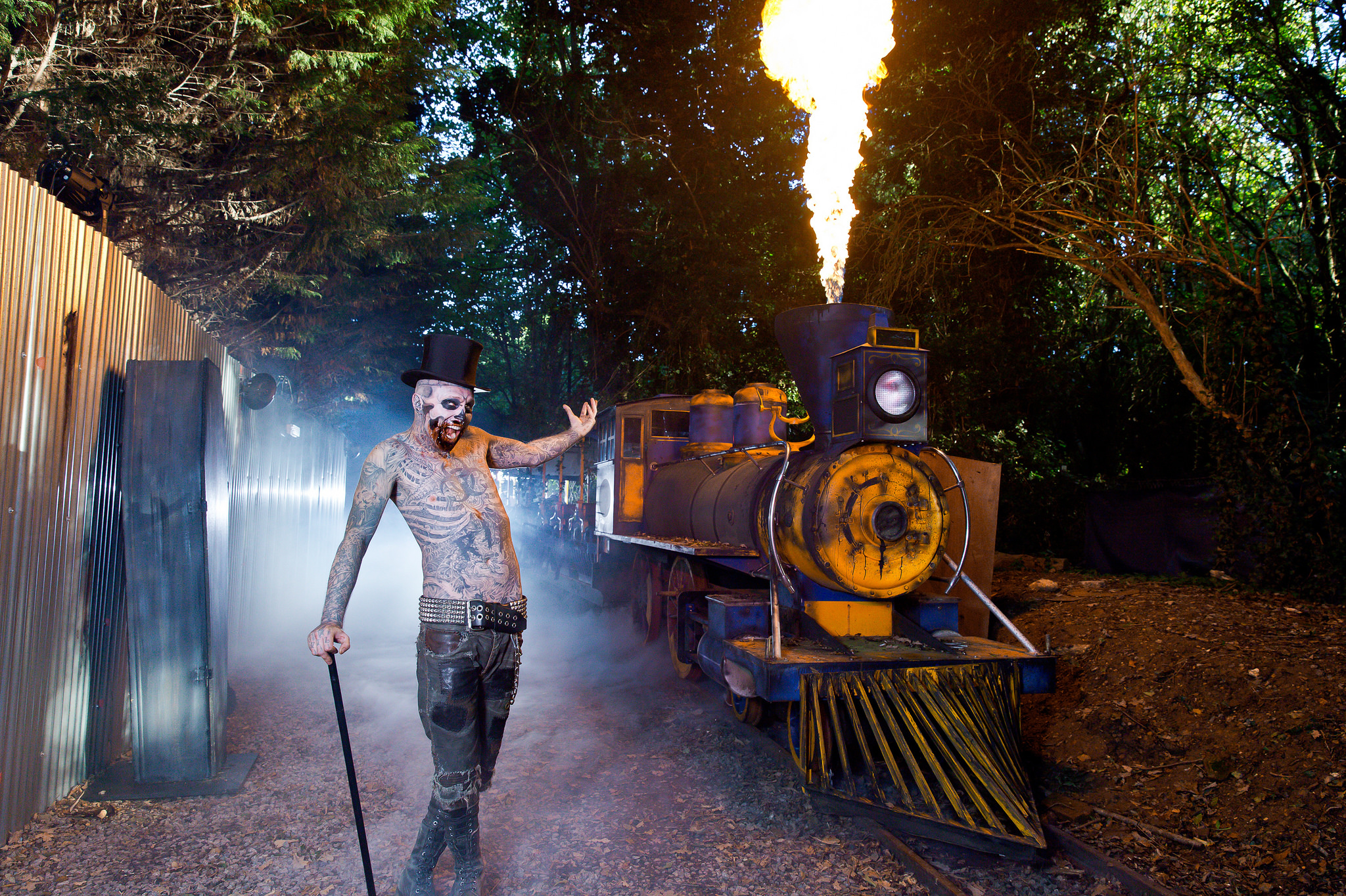 30110844745_19cc0f9e5b_k